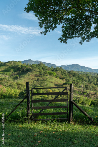 Wooden fence and green tree leaves with blue sky. Tamesis, Antioquia, Colombia.