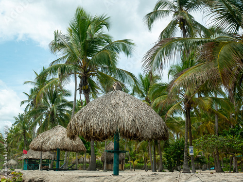 Ecological Umbrellas Made from Dried Banana Leaves and Logs on Palomino's Beach, Colombia