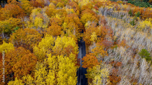 Aerial view of fall or autumn foliage in maine - drone view of road - orange and red leaves and foliage - mountains and hills