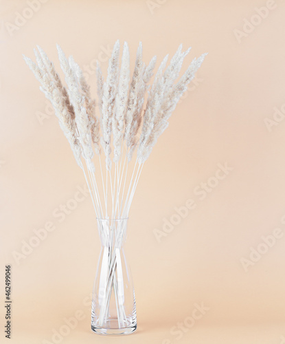 Bouquet of dried flowers in a glass vase on a neutral beige background, front view, close-up, copy space. Minimal floral composition. © Flena_13