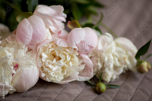 bouquet of pink and white peonies © AnastasiaKharichkina