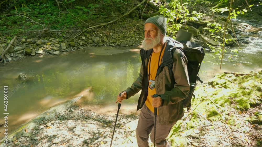 Old Man Tourist with a Backpack Walks in the Valley By the River on a Sunny Day. Walking in the Green Forest, Healthy Lifestyle, Enjoying Nature. Adventure Travel Or Active Lifestyle Concept. Old Man Tourist with a Backpack Walks in the Valley By the River on a Sunny Day. Walking in the Green Forest, Healthy Lifestyle, Enjoying Nature. Adventure Travel Or Active Lifestyle Concept.