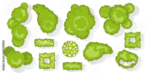 Trees and bushes top view for architectural and landscape design. Different colored blooming plants and trees vector set. Graphic, isolated on white. Vector. Elements for design projects. Green spaces