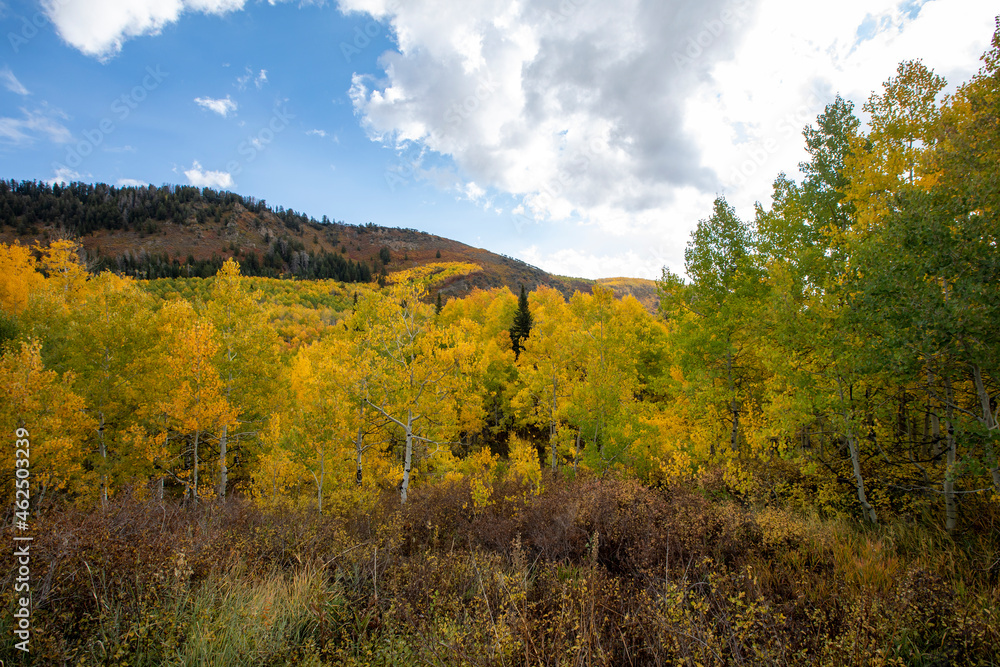 Fall colors in the mountains with blue sky Fall colors in the mountains with blue sky