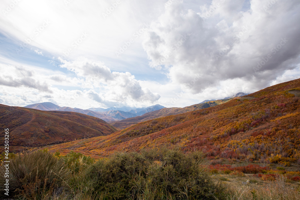 Fall colors in the mountains with blue sky