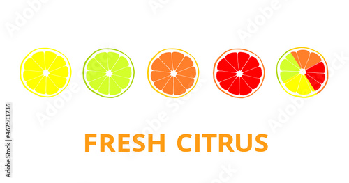 Vector composition of citrus fruits. lemon, lime, orange, grapefruit