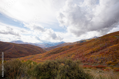 Fototapeta Naklejka Na Ścianę i Meble -  Fall colors in the mountains with blue sky
