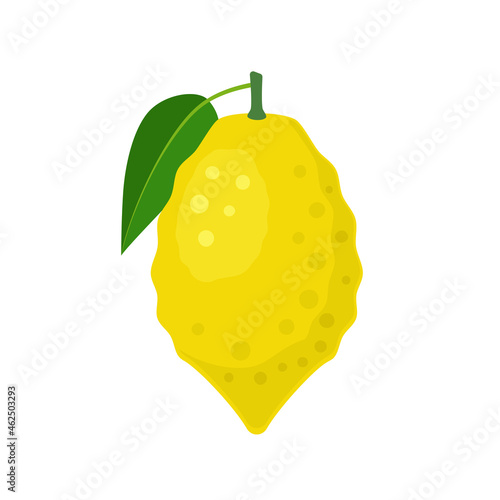 Citron fruit icon flat design vector illustration