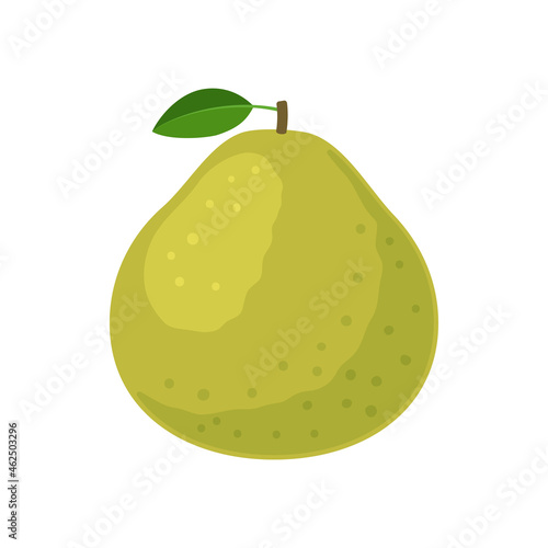 Pomelo fruit icon flat design vector illustration