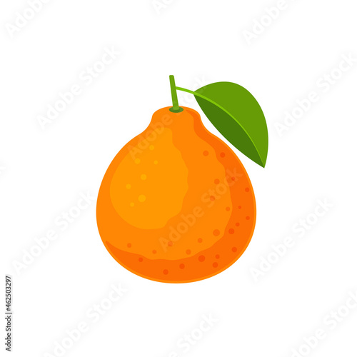 Tangelo fruit icon flat design vector illustration