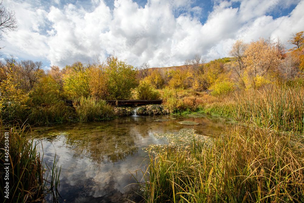 fresh water springs and fall colors with blue sky fresh water springs and fall colors with blue sky