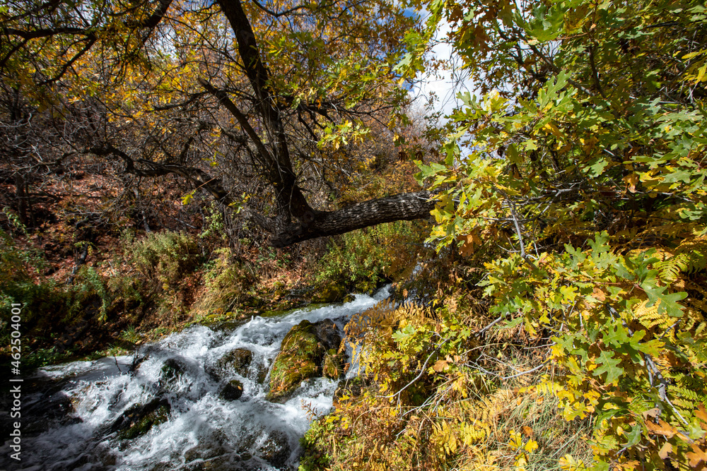 fresh water springs and fall colors with blue sky fresh water springs and fall colors with blue sky