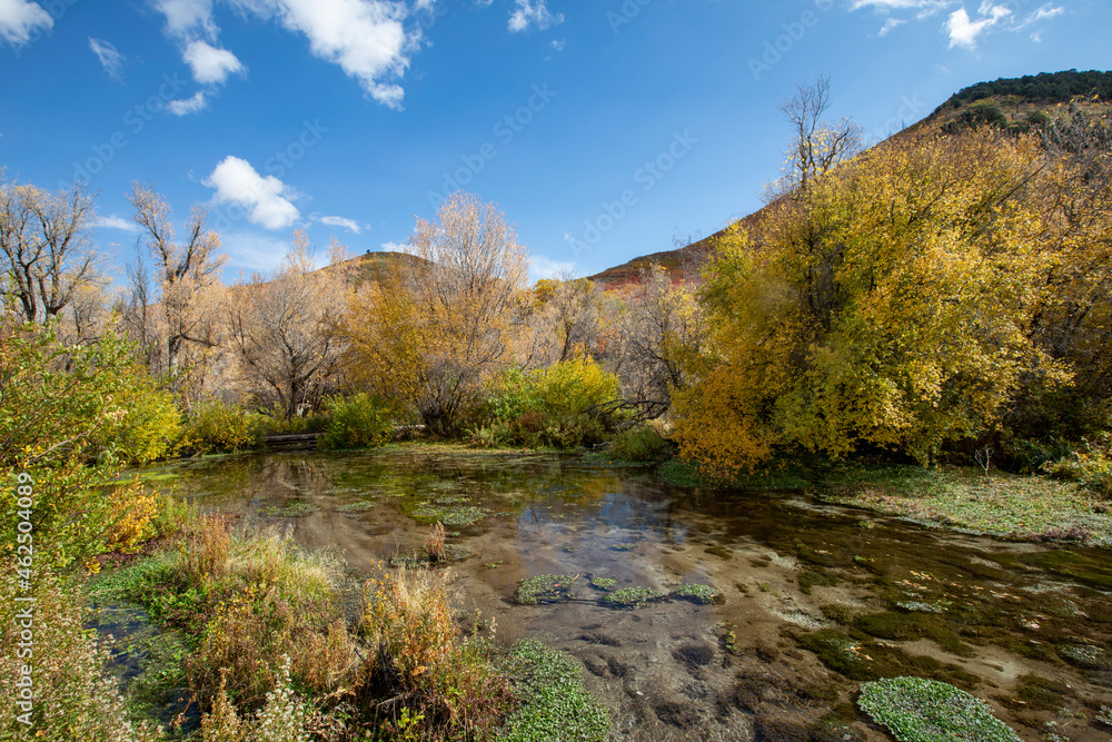 fresh water springs and fall colors with blue sky fresh water springs and fall colors with blue sky