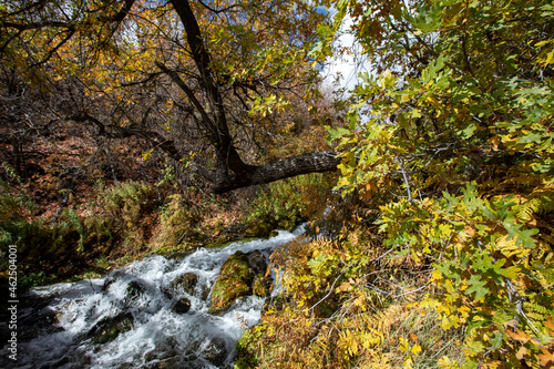 fresh water springs and fall colors with blue sky © ACpics