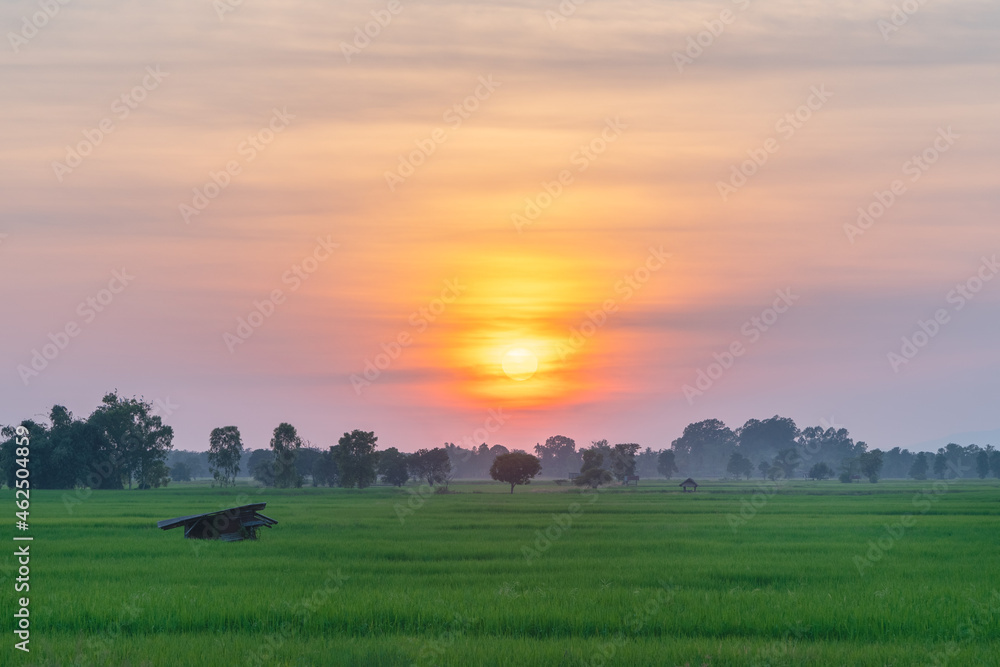 beautiful rural upcountry green farm with sunset background