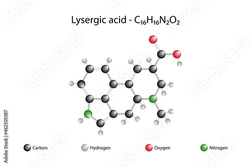 Molecular formula of lysergic acid. Lysergic acid, is a precursor for a wide range of ergoline alkaloids that are produced by the ergot fungus and found in the seeds of Turbina corymbosa. photo