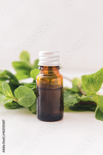 Fototapeta Naklejka Na Ścianę i Meble -  Bottle of mint essential oil on light background