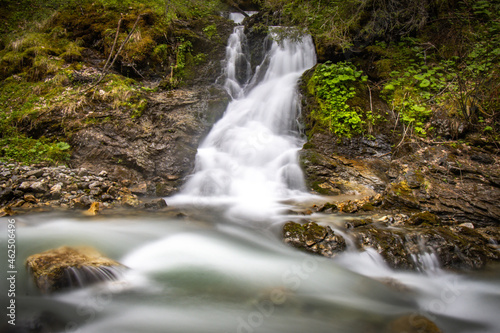 Fototapeta Naklejka Na Ścianę i Meble -  water flowing in the forest, long exposure, austrian alps, salzburg, river, austria