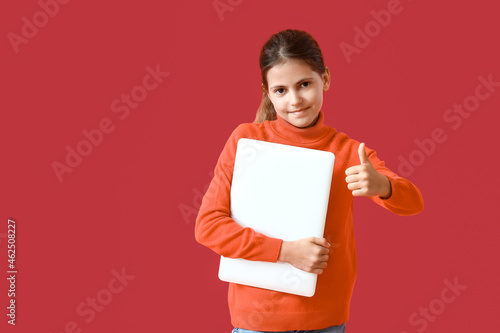 Little programmer with lapt...