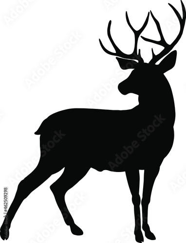 The vector silhouette of a deer. A horned beast from the forest. Elk, caribou, antelope © tcheres