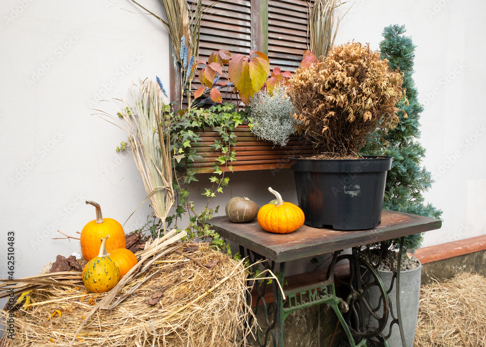 Φωτογραφία Pumpkins and autumn leaves, symbol of Autumn harvest, Thanksgiving, Mabon sabbat and Halloween holiday