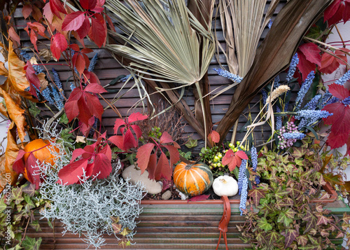 Pumpkins and autumn leaves, symbol of Autumn harvest, Thanksgiving, Mabon sabbat and Halloween holiday. fall seasonal natural background photo