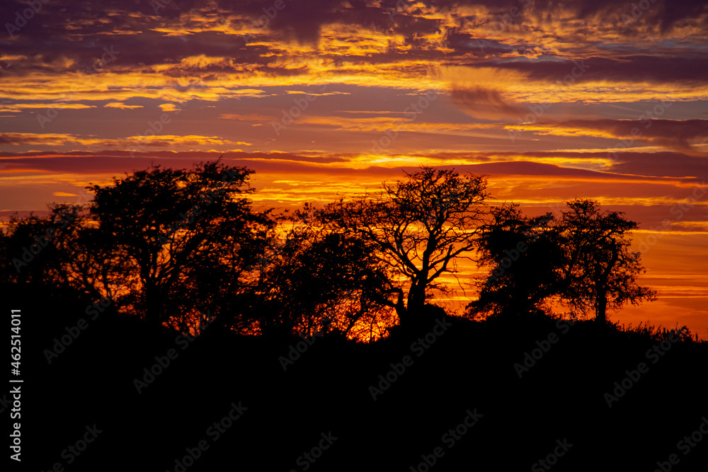 Obraz premium Simple Sunset