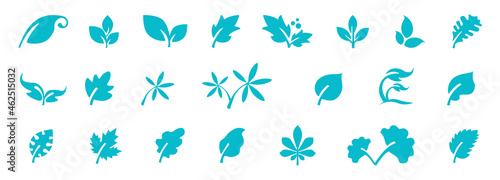 vector leaves of trees and shrubs, autumn leaves, a set of different leaves