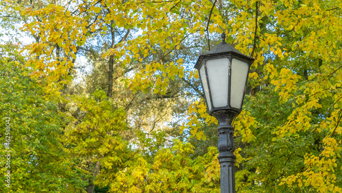 Lantern against autumn yellow trees. Street lamp in the autumn park. Beautiful Autumn Landscape With Old Fashion Lamp.