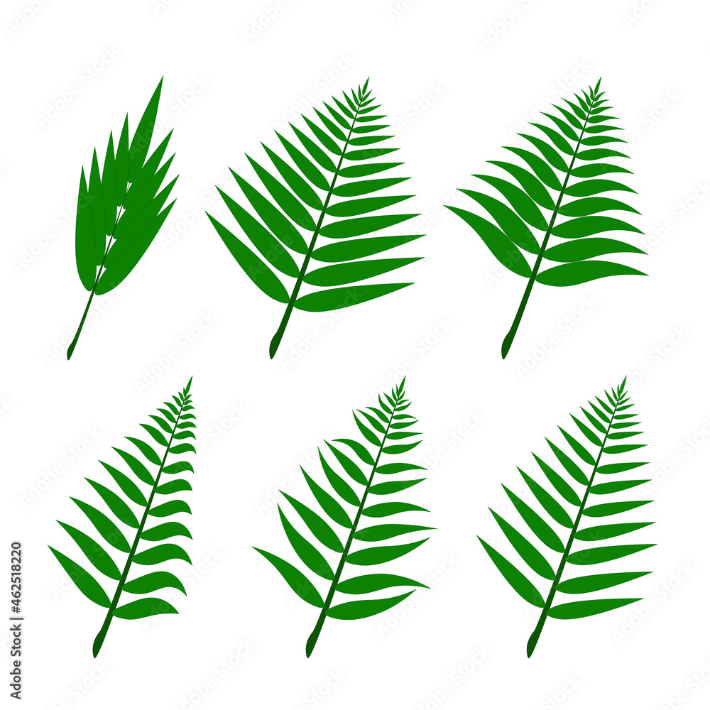 Set of green palm leaves Set of green palm leaves