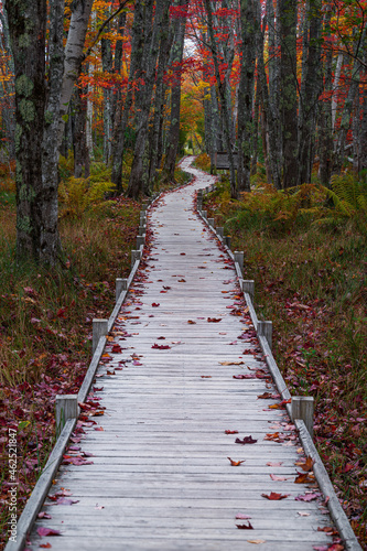 Acadia National Park  Maine  USA