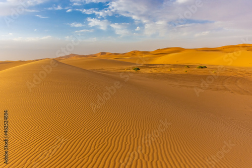 Beautiful landscape of the dunes in the Sahara Desert  Merzouga  Morocco