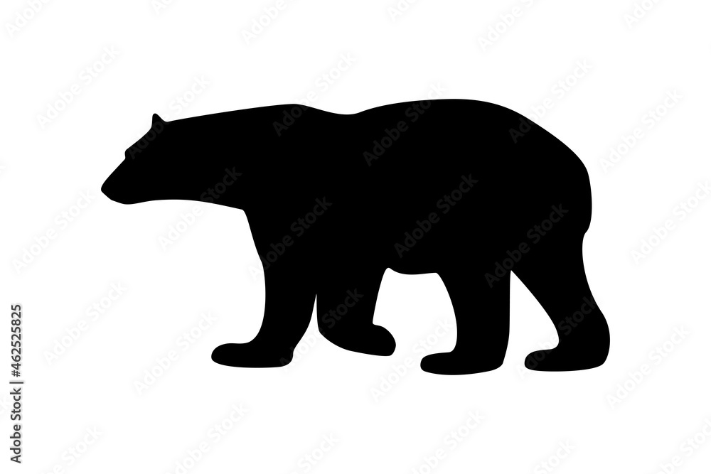 Fototapeta premium Polar bear