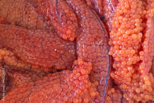 Red chum salmon caviar in the roe ( ovary ) at the fish processing plant. Amur river. Khabarovsk Krai, far East, Russia.