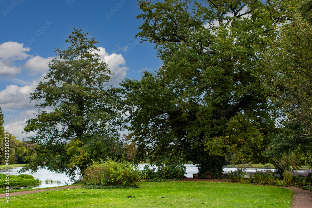 Obraz premium Dutch summer landscape with trees, green grass and cloudy blue sky