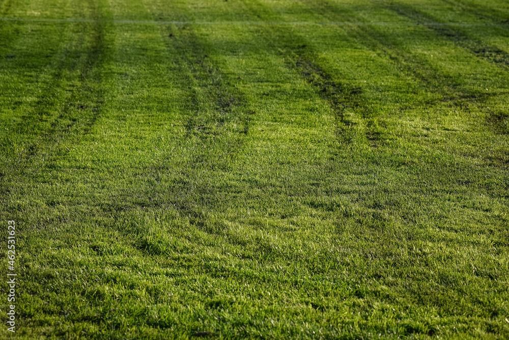 Lawn surface texture with mower marks, with sunspots on the grass