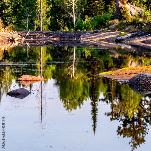 Bloomington Lake Reflections