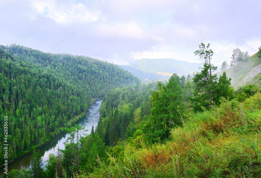 The Cox River in the Altai Mountains The Cox River in the Altai Mountains