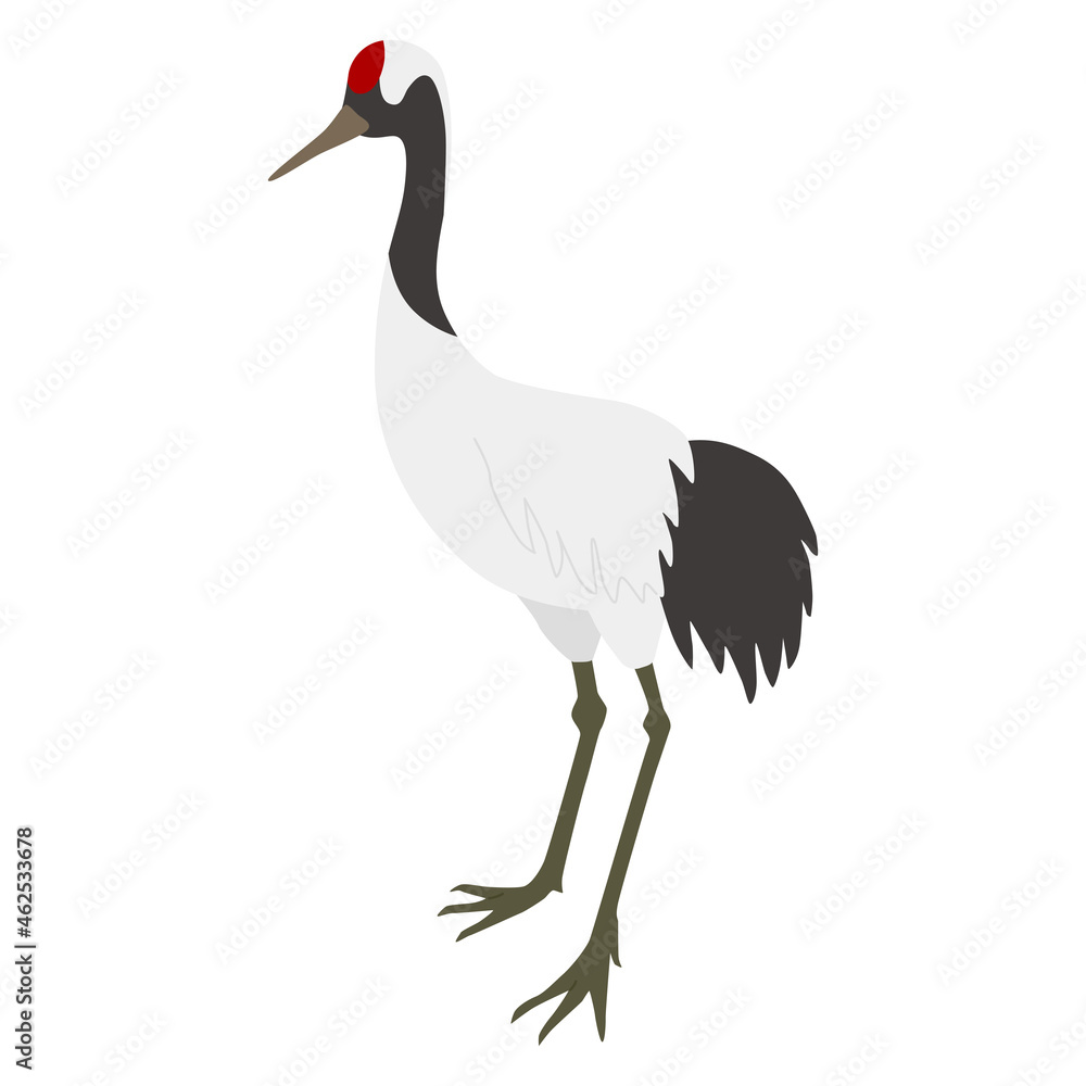 Obraz premium 鶴のイラスト