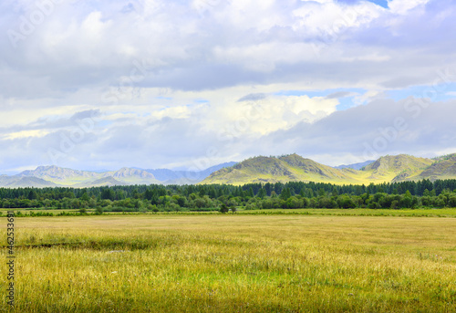 A rural field in the Altai mountains