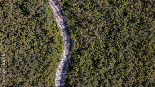 aerial view of a long wooden walking path in the middle of grasses covered wetland on a sunny day