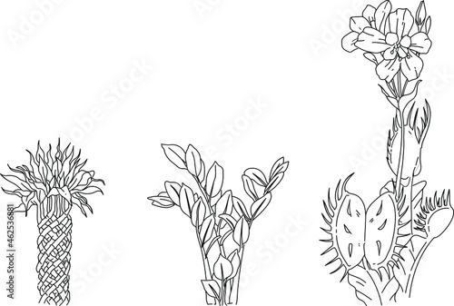 Wallpaper Mural Black and white illustration of a bunch of flowers and plants Torontodigital.ca