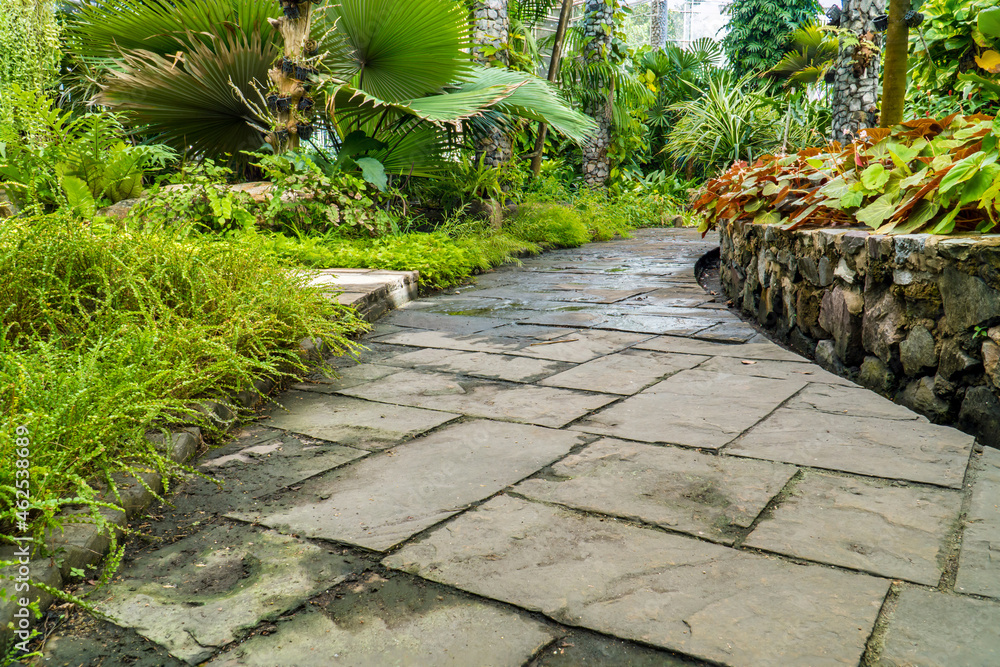 Tropical botanical garden decorated with stone pathway. Beautiful botanic park.