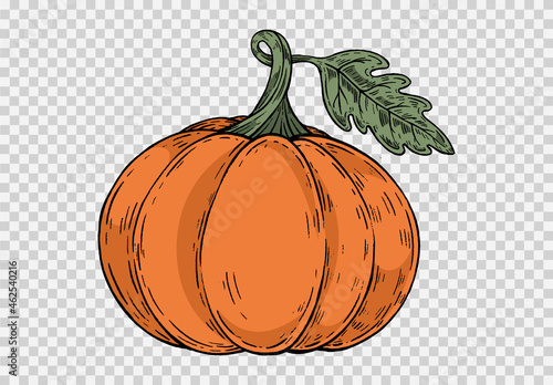 Pumpkin hand draw with brush style isolated on png or transparent texture,Halloween party background ,element template for poster,brochures, online advertising,vector illustration
