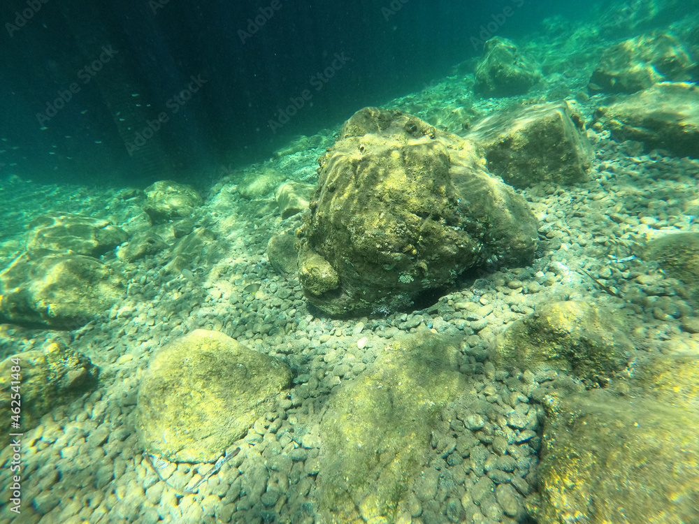 Fototapeta premium Underwater world of Mediterranean Sea. Near Marmaris, Turkey