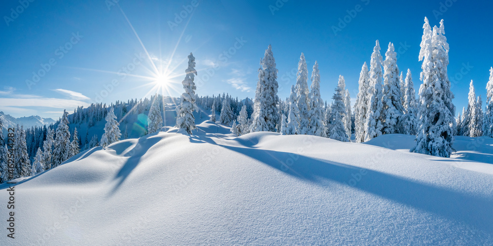 Winterpanorama - Verschneite Winterlandschaft - obrazy, fototapety, plakaty 