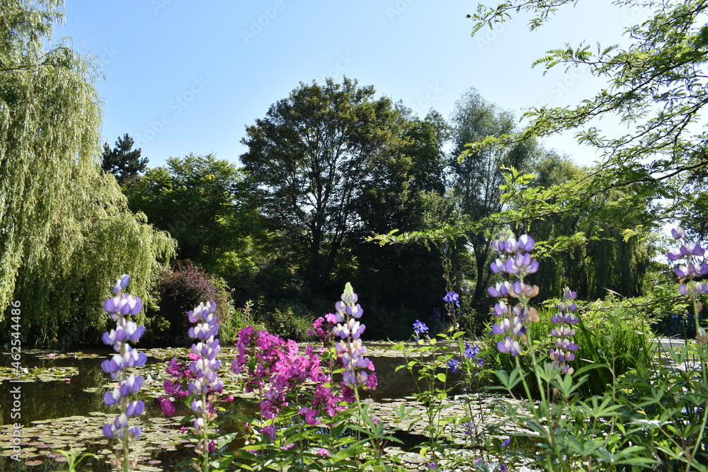 flowers in garden