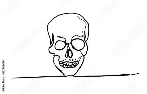 Billede på lærred skull