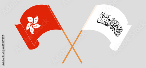 Crossed and waving flags of Hong Kong and Taliban