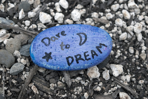 dare to dream
